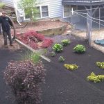 Bulk Mulch